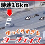 【追跡まとめ】“ゆっくりすぎる”カーチェイス…時速16キロでノロノロ逃走　最後は炎上も　アメリカ/パトカーとカーチェイス“挑発”怒りの追跡　など（日テレNEWS LIVE）