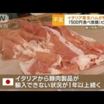 “イタリア産”生ハムがない…緊急事態　背景に「アフリカ豚熱」　輸入再開めど立たず(2023年5月8日)
