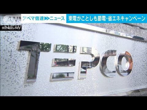 東京電力　今年の夏も“節電・省エネ”キャンペーン　ポイントや最大2万円分の商品券(2023年5月10日)