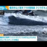 打ち上げられたクジラからプラスチック　横浜市などが海洋プラ対策発表(2023年5月11日)