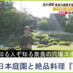 【中継】知らないのはもったいない！？江戸・明治のお金持ちが作った和空間…世界の人が惚れる奈良の日本庭園『依水園』（2023年5月10日）