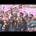 “ピンク色のじゅうたん”外国人客が歓声　メルヘン花畑「世界にここだけ」(2023年5月11日)