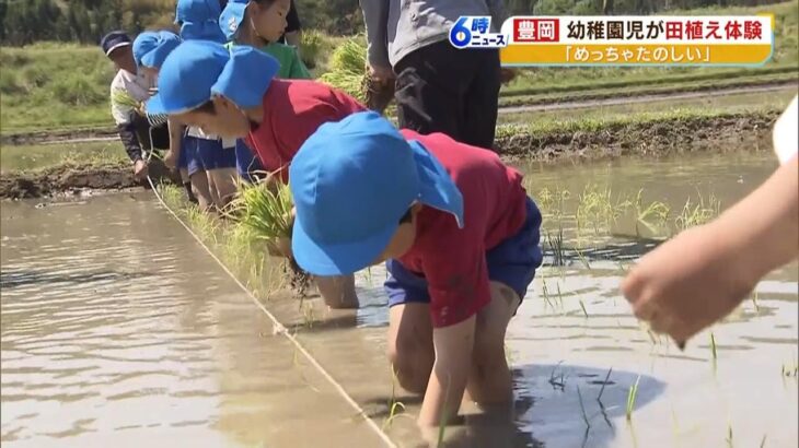 「おたまじゃくしがおって楽しい」園児たちの泥だらけの田植え体験　食育の一環で（2023年5月11日）