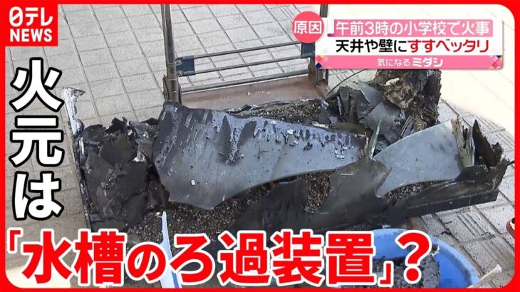 【小学校で火事】「メダカの水槽」が黒焦げ…ろ過装置から出火？  新潟・村上市