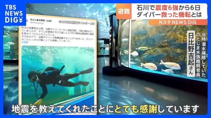 “ダイバーさん逃げて！”地震に見舞われた「のとじま水族館」で潜水掃除をしていた飼育員を救ったお客さんの“とっさの行動”｜TBS NEWS DIG