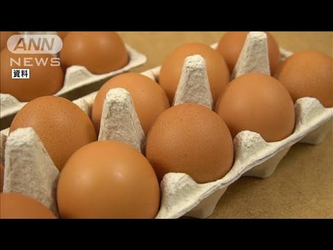 キユーピー　ブラジル産の卵輸入へ　鳥インフルで卵不足が深刻化(2023年5月12日)
