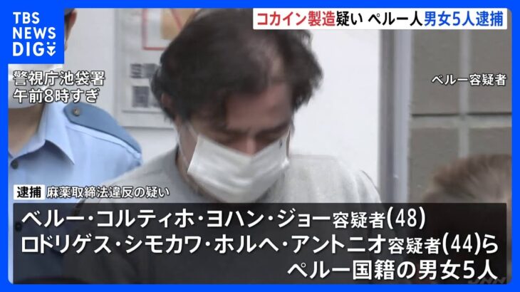 コカインとうつ病の間のその他の関連性