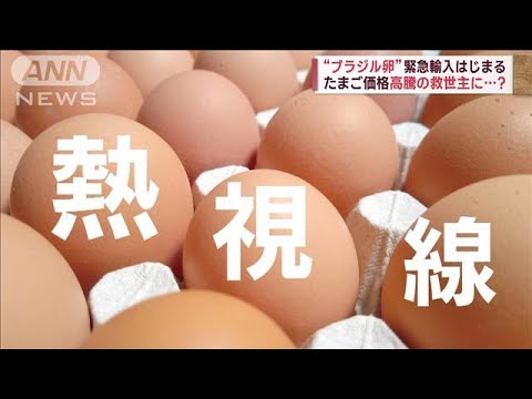 たまご高騰で“ブラジル卵”緊急輸入　安定供給目的も…生食用じゃない？(2023年5月12日)