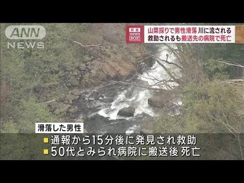 【速報】山菜採りで男性滑落　川に流される　救助されるも搬送先の病院で死亡(2023年5月12日)