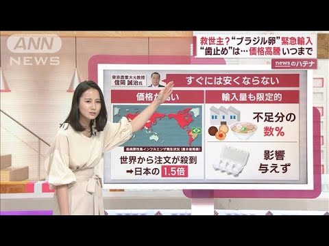 「ブラジル産卵」緊急輸入で安くなる？　“国内の卵市場”への影響を専門家が解説(2023年5月12日)