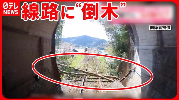 【危険】トンネルを抜けると…線路に“倒木”  人が切った跡？  徳島・海陽町