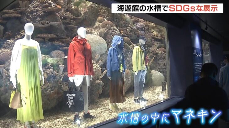 海遊館の水槽内にマネキン！着ている服は「海洋プラごみ」を再利用　特別企画開催（2023年5月13日）