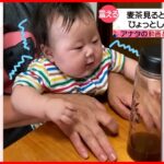 【投稿動画】なぜ!? 麦茶見ると”震える”赤ちゃん『every.特集』