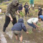 棚田で田植えの体験会　京都・福知山市　「日本の棚田百選」の一つ「毛原の棚田」で５０人が参加