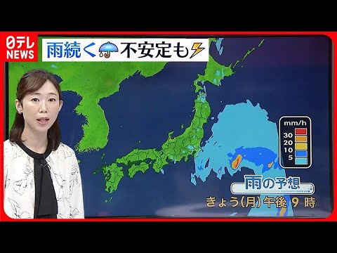 【天気】東日本と北日本では夕方にかけて雨の所が多い  雷を伴って激しく降る所も