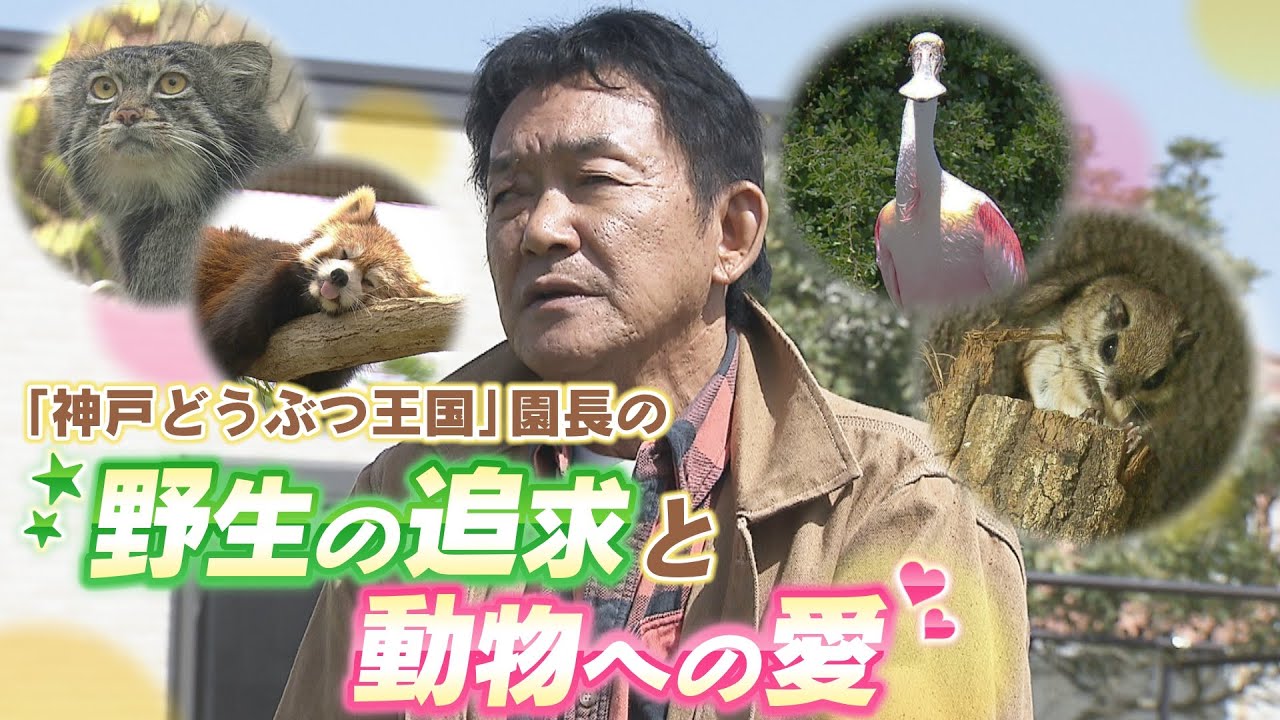 【神戸どうぶつ王国】念願の新エリア完成もスタッフに『０点や』と厳しくダメ出し　こだわるのは「野生の姿」　動物愛溢れる敏腕園長の飽くなき追求！（2023年5月12日）
