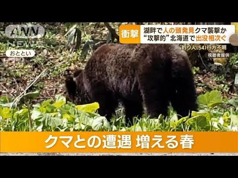 クマ襲撃か　湖畔で“人の頭”発見…相次ぐ出没「水辺に注意」攻撃的になる恐れも(2023年5月16日)