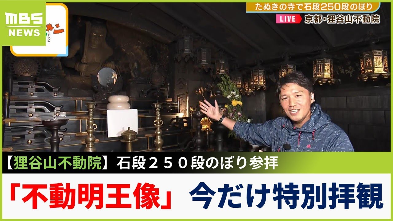 【中継】”たぬきの寺”で青もみじの新緑＆「不動明王像」を間近で見られる特別拝観エリアを紹介！京都・狸谷山不動院（2023年5月15日）