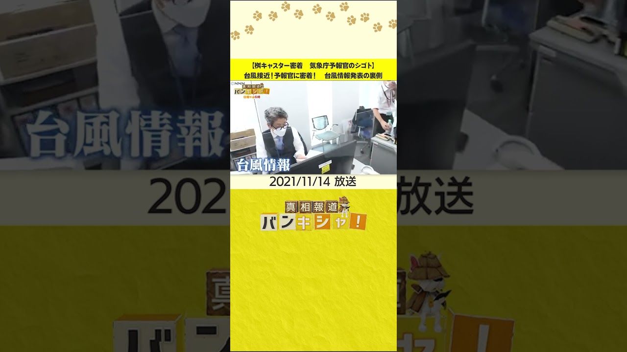 【桝キャスター密着 気象庁予報官のシゴト】台風接近!予報官に密着! 台風情報発表の裏側 #shorts