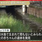 【新着】裸のまま用水路に…赤ちゃんの遺体見つかる　埼玉・春日部市