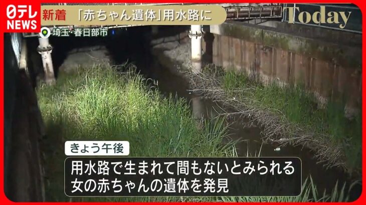 【新着】裸のまま用水路に…赤ちゃんの遺体見つかる　埼玉・春日部市