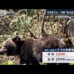 【報ステ】「整備で“クマの通路”が」なぜ？北海道で相次ぐクマ“過去最多”ペース(2023年5月16日)