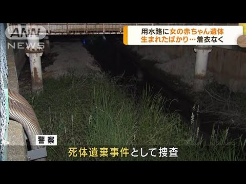 埼玉・春日部　用水路から赤ちゃんの遺体見つかる(2023年5月17日)