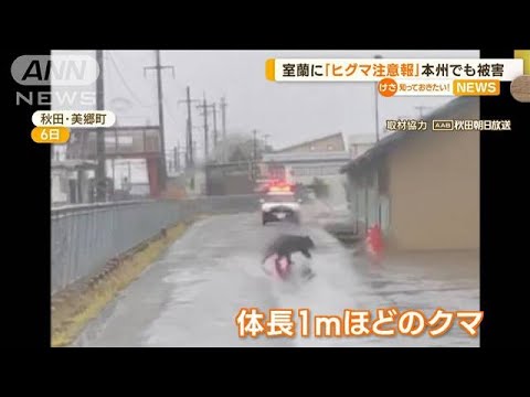 北海道室蘭市に「ヒグマ注意報」出される…本州各地にもクマ出没　けが人も(2023年5月17日)