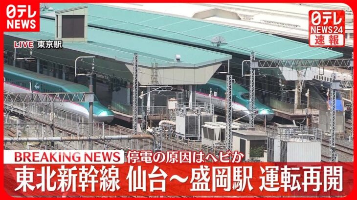 【速報】東北新幹線…仙台～盛岡の運転を再開  停電の原因はヘビか