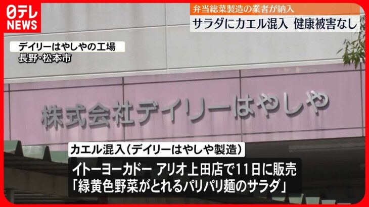 【サラダに「カエル」混入】弁当総菜業者が製造…健康被害などの連絡なし  長野