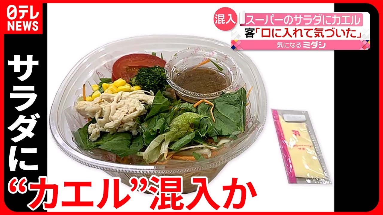【“カエル”混入】客 「口に入れて気づいた」と訴え… 長野