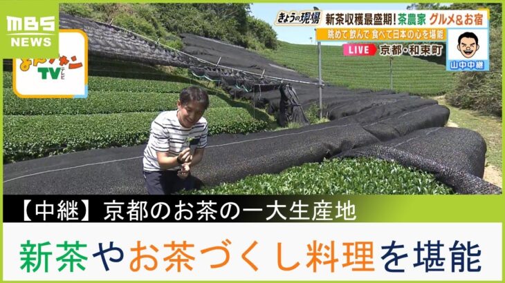 【中継】新茶の最盛期！京都が誇る宇治茶の町へ　茶摘み体験にお茶づくしランチ…眺めて飲んで食べて日本の心を堪能（2023年5月17日）