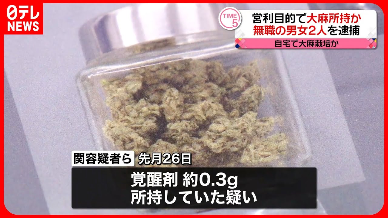 【逮捕】自宅で乾燥大麻を営利目的で所持か 栽培に使用したとみられる道具も 東京・八王子市