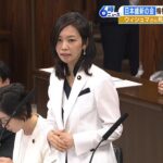 梅村みずほ議員は謝罪せず「信念に基づいて発言している」維新は法務委員から外す処分（2023年5月18日）