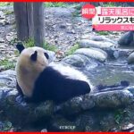 【パンダ】まるで“露天風呂”　思い切り背筋伸ばすと…　中国・四川省