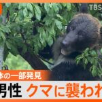 クマに襲撃されたか　北海道の「朱鞠内湖」で釣り人が行方不明に【Nスタ解説】｜TBS NEWS DIG