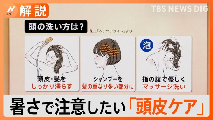 暑さで気になる「頭皮トラブル」　原因と対策は？【Nスタ解説】｜TBS NEWS DIG