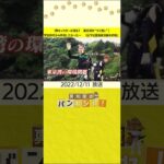 【桝キャスターが潜る！　東京湾の“ゴミ拾い”】学生時代から参加したかった…　「山下公園海底清掃大作戦」　#shorts