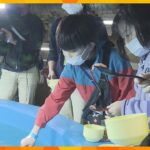 冷凍ダイオウイカ見学や餌やり体験も！水族館の裏側見学イベントを３年ぶりに再開　城崎マリンワールド