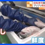 人気回転寿司チェーンの新たな取り組み　絶品サーモンには“日本初”の試みが！土曜日限定の新鮮地魚も｜TBS NEWS DIG