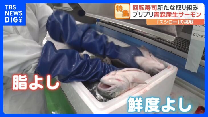 人気回転寿司チェーンの新たな取り組み　絶品サーモンには“日本初”の試みが！土曜日限定の新鮮地魚も｜TBS NEWS DIG