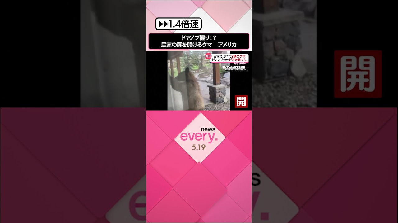 【とんだ珍客】ドアノブを握った？　扉を開けたのは…クマ！　アメリカ #shorts