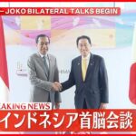 【速報】岸田首相とインドネシアのジョコ大統領　首脳会談はじまる