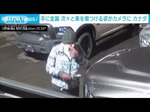 手に金属　次々と車を傷つける姿がカメラに カナダ(2023年5月20日)