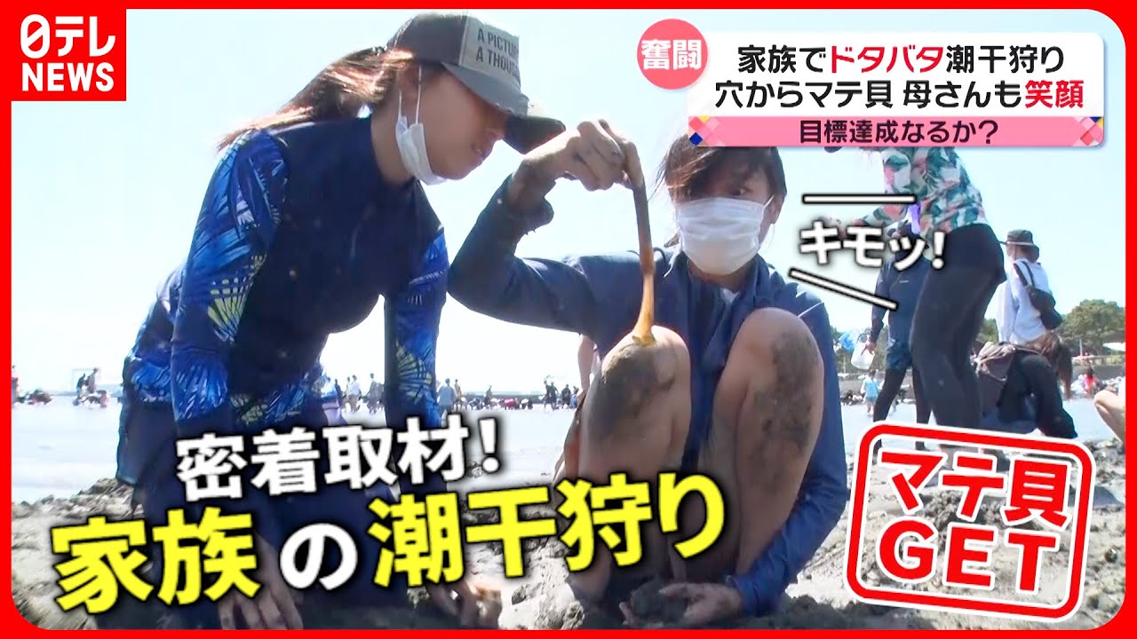 【家族に密着】”マテ貝”が大漁!? 潮干狩りで楽しむ家族の一日『every.特集』