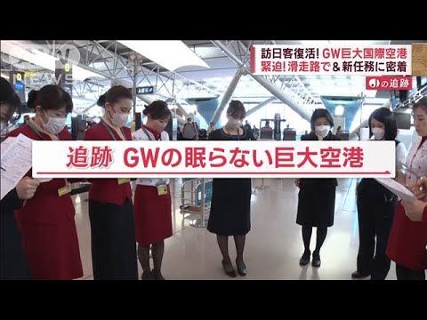 巨大国際空港　“緊迫の裏側”に密着…滑走路に“異変”　「初めて見た」渡り鳥の群れ【Jの追跡】(2023年5月21日)