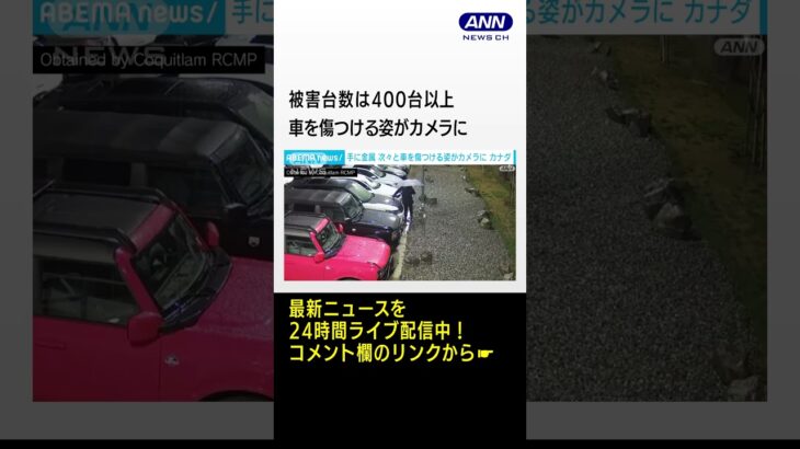 手に金属　次々と車を傷つける姿がカメラに カナダ　#shorts