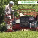 関西屈指の茶の産地「丹波篠山」　つややかな新芽を機械で…新茶の摘み取りがピーク（）