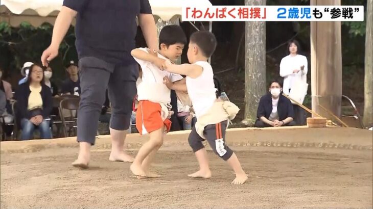 最年少は２歳！子ども約４０人が参加「わんぱく相撲」　小さな力士たちへ温かい拍手（2023年5月21日）