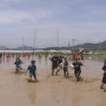 京都・福知山市で「田んぼラグビー」　水害からの復興願い２０１５年に始まり、今年は約３００人が参加